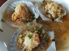 扇贝-天桥饭店·特色海鲜(金山嘴渔村店)