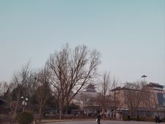 -莲花池公园