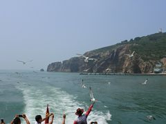 -海驴岛(荣成市)