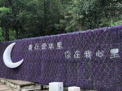 -壹华里·市集