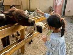 -HERRE·FARM 赫尔露营农场·团建聚会包场