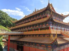 -东莞市大岭山森林公园