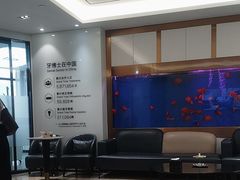 -牙博士口腔品牌连锁(杨浦店)