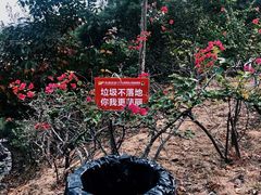 -汕尾铜鼎山旅游区
