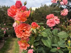 -人民公园(罗湖区)