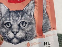 -宠颐生动物医院·心脏科·保险定点(锦阳分院)