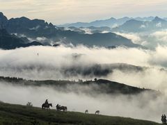 -灵山