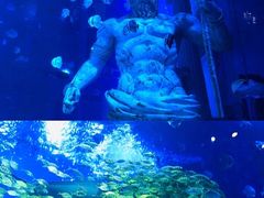 -正佳极地海洋世界