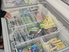 -亿兴佳诺雪糕批发