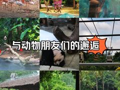 -广州长隆野生动物世界