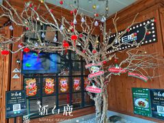 -新白鹿餐厅(城西银泰城店)