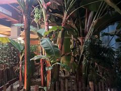 -北国之春国宴(乌兰察布店)