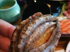 活鲍鱼-阳光岛·海鲜盛宴(银泰中心in99店)