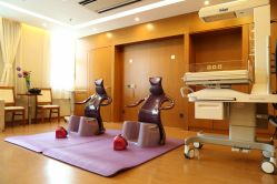 -北京新世纪妇幼医院·产检·分娩·计生(望京院区)