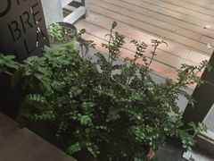 -SKROLL卡特司库·蛋糕定制·生吐司·司康(古北程家桥店)