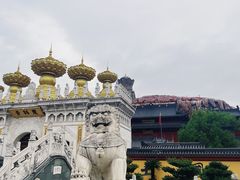-上海东林寺(金山区)