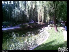 -菖蒲河公园