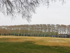 -河南省黄河迎宾馆