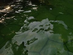 -融汇温泉