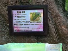 -上海大自然野生昆虫馆(东方明珠·爬宠昆虫探索中心)