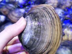 -青蓬蒸汽海鲜·深圳老字号·团建聚会(壹方城店)