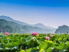 大饼-阊门姚记豆浆(旧学前直营店)