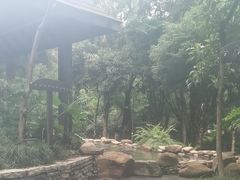-融汇温泉