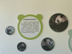 -宁波野生动物园