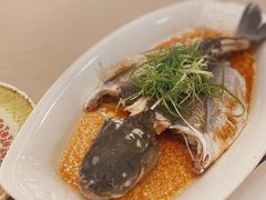 -顺风山庄(水濂山店)