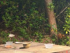 -九龙公园