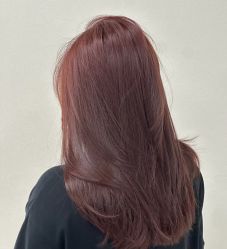 -镁连社·美联社