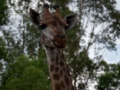 -泉州海丝野生动物世界