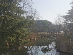-白马涧龙池景区