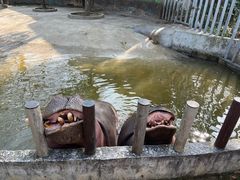 -常州淹城野生动物世界