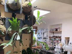 -本無咖啡·BeanWood Coffee