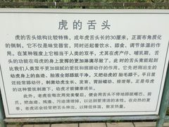-横道河子东北虎林园