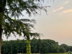 -广富林郊野公园