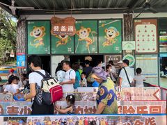 -芦仙山景区-飞越丛林探险乐园