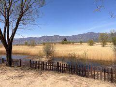 -野鸭湖国家湿地公园