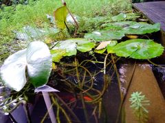 -箱美术馆私房菜(水晶郦城店)