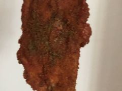 -茹哥炸串(水产前街店)