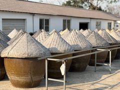 -苏州市吴中区光福窑上花果蜜饯厂