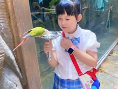 -泉城欧乐堡海洋极地世界