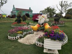 -荷兰花海
