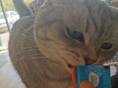 -平行世界·猫咖(首经贸店)