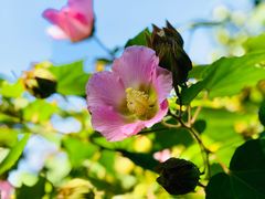 -杭州城北体育公园