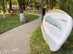 -成都市活水公园