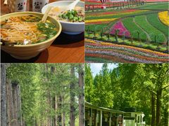 -盐城丹顶鹤湿地生态旅游区