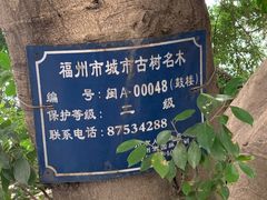 -三坊七巷历史文化街区