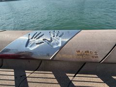-星光大道